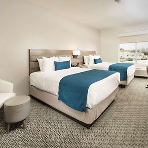 Junior Suite Two Queen Beds Kitchenette Non-Smoking